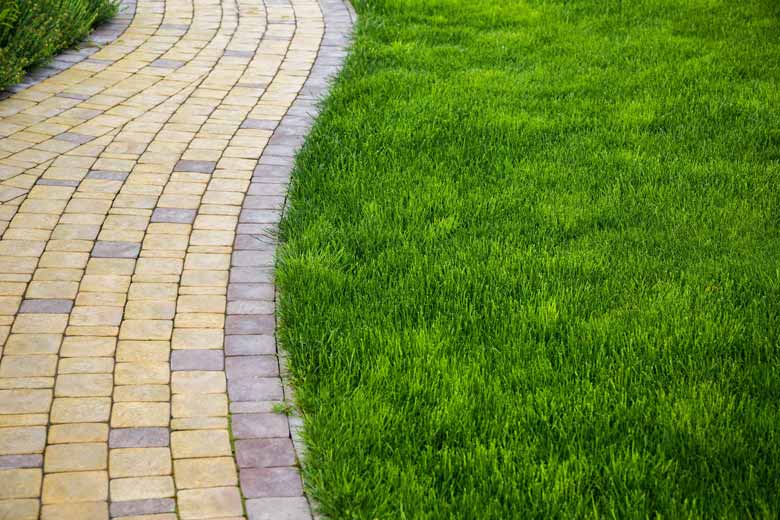 A stone paved walkway